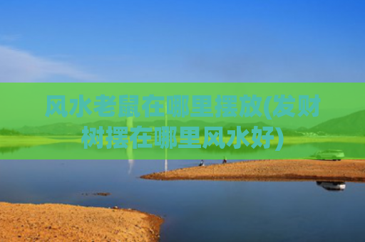 风水老鼠在哪里摆放(发财树摆在哪里风水好)