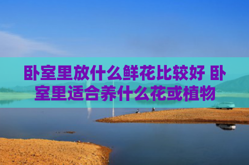 卧室里放什么鲜花比较好 卧室里适合养什么花或植物