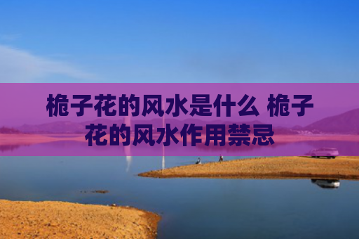 桅子花的风水是什么 桅子花的风水作用禁忌
