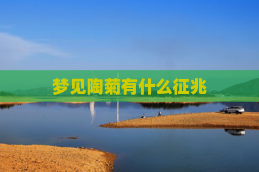 梦见陶菊有什么征兆