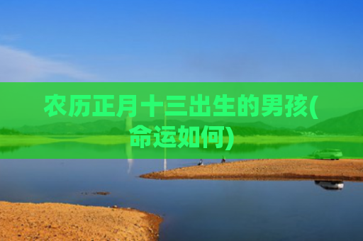 农历正月十三出生的男孩(命运如何)