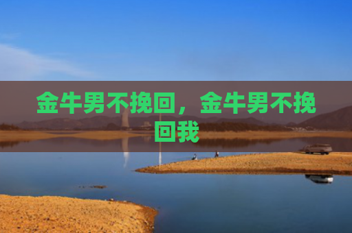 金牛男不挽回，金牛男不挽回我