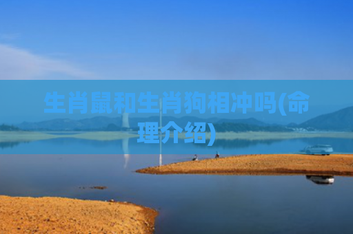 生肖鼠和生肖狗相冲吗(命理介绍)